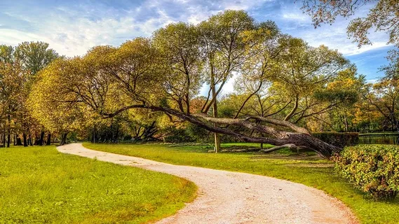 冬天自然背景风景