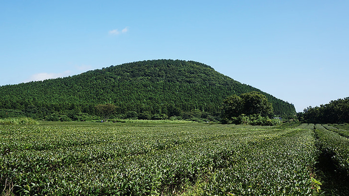风景 天空 旅行美丽 (111)