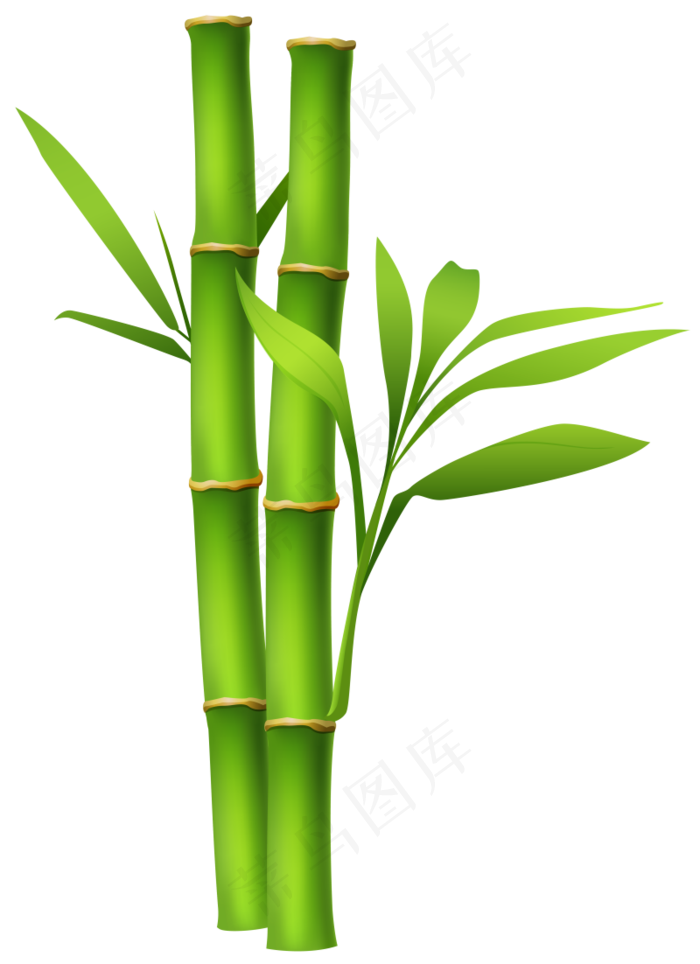 PNG 绿色竹子  