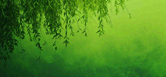 绿色简约绿植绿叶手绘插画笔墨意境