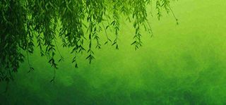 绿色简约绿植绿叶手绘插画笔墨意境