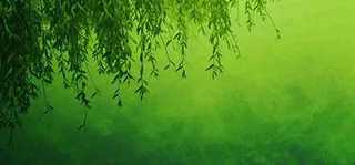 绿色简约绿植绿叶手绘插画笔墨意境