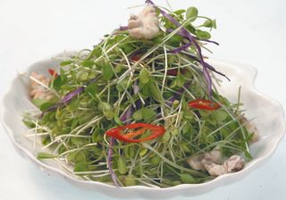 12 春芽核桃仁 通达