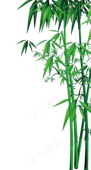 竹子png