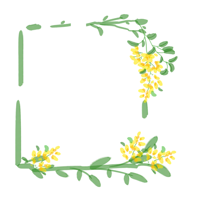卡通叶子边框