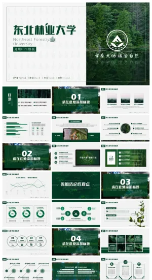 东北林业大学-李漠-通用PPT模板预览图