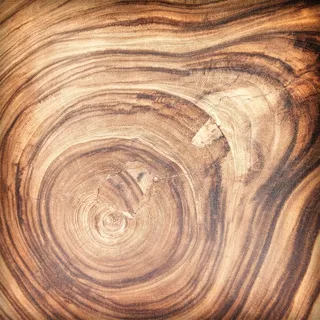 光滑的年轮花纹背景高清图片