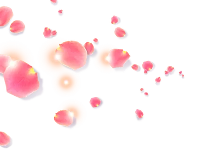 情人节花瓣飘舞