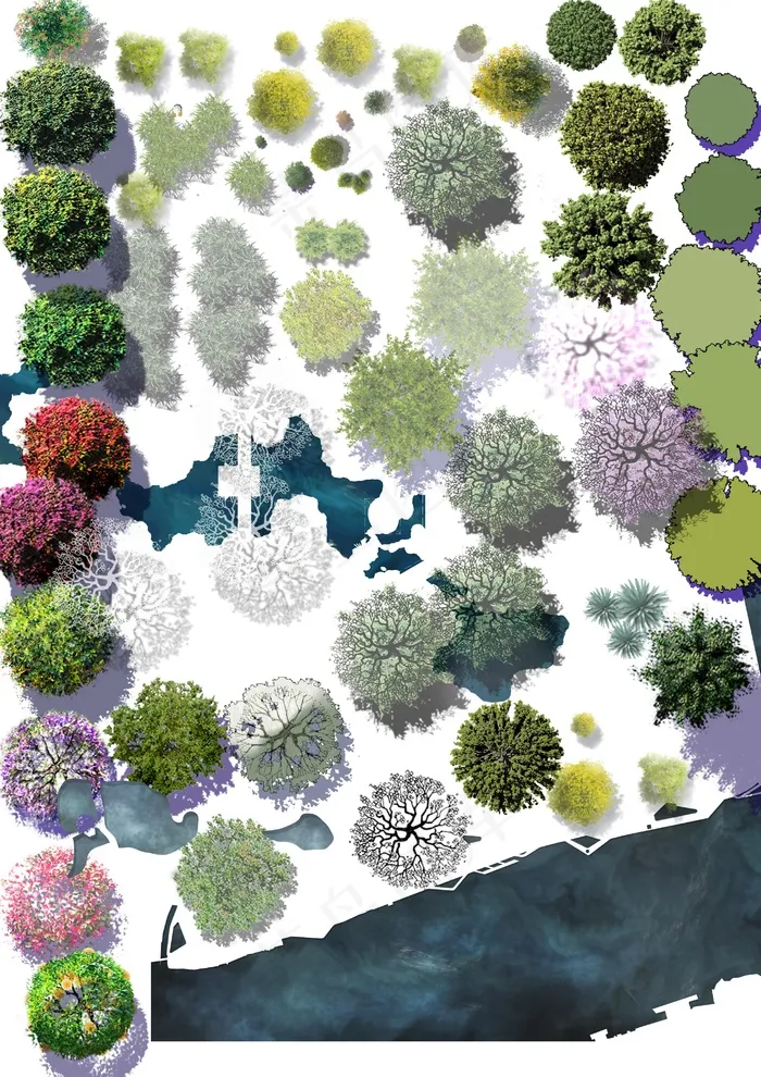 精选彩色平面图植物素材—PSD源文件psd模版下载