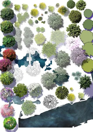 精选彩色平面图植物素材—PSD源文件