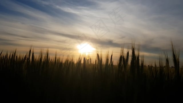 日出, 太阳, 日落, 云, 景观, 地平线, 夏天