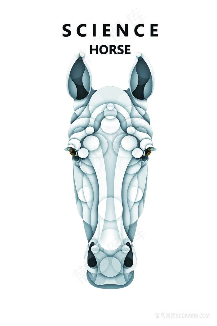 时尚马头水彩插画