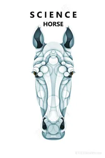 时尚马头水彩插画