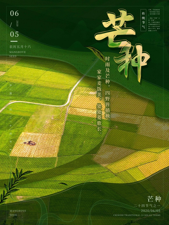 芒种 芒种活动海报psd模版下载