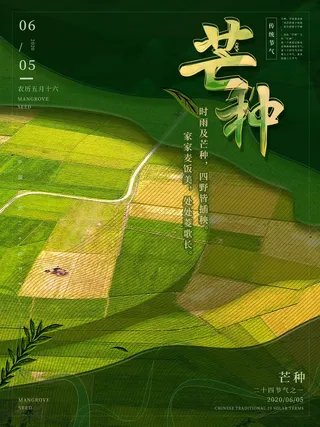 芒种 芒种活动海报