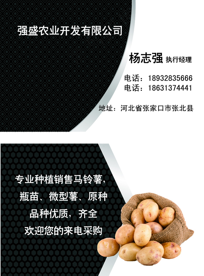 简约大气白色名片ai矢量模版下载