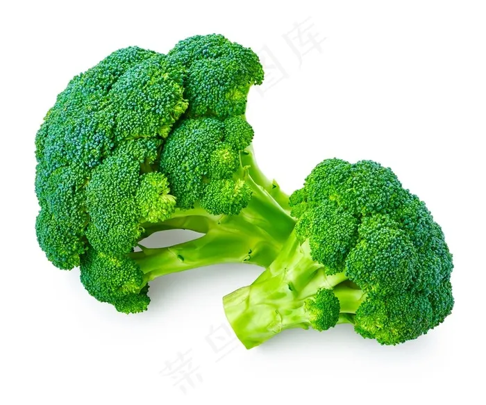 翠绿的西兰花高清图片