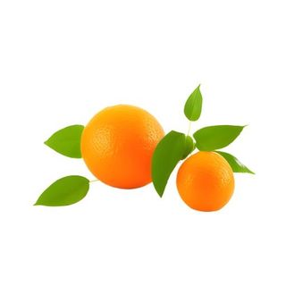 橘子橙子水果免抠