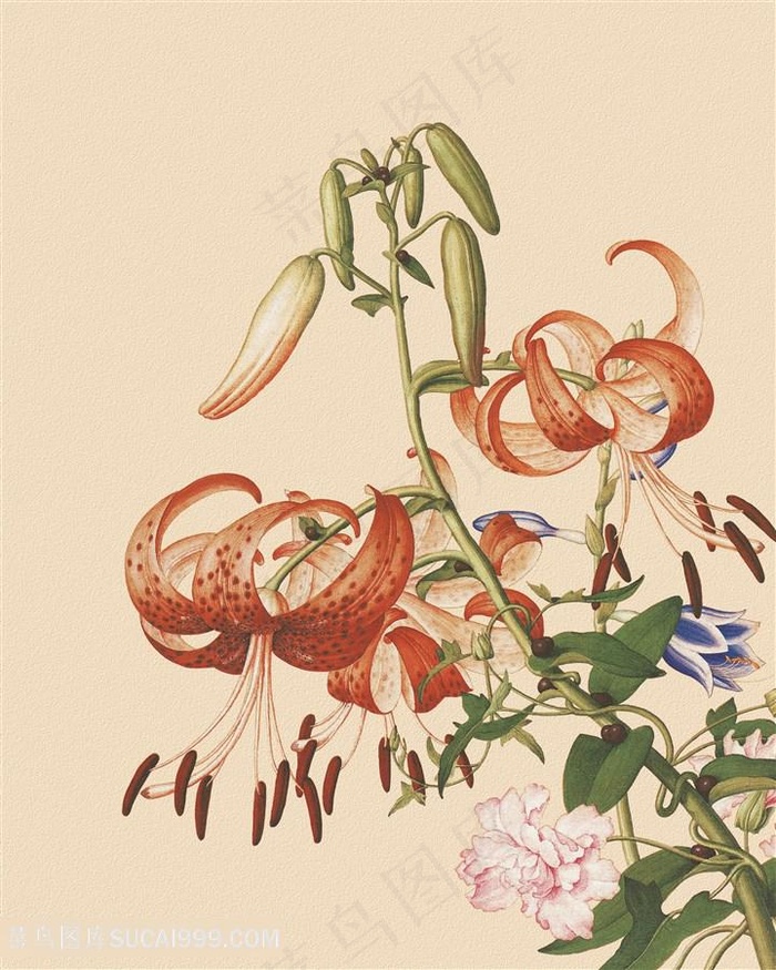 郎世宁 复古花卉花枝中式国画