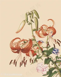 郎世宁 复古花卉花枝中式国画