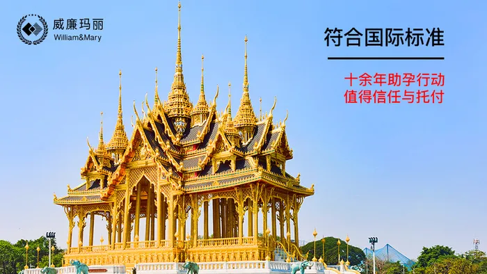 助孕试管婴儿海报设计跨国际psd模版下载