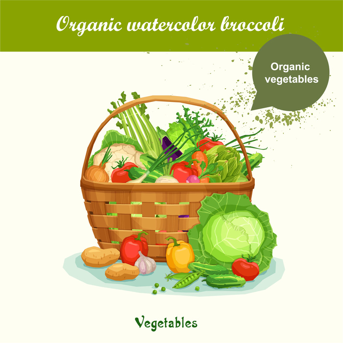 蔬菜设计矢量素材卡通食物新鲜绿色蔬菜