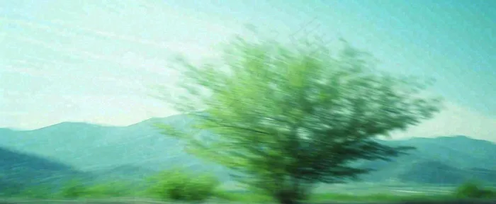 高山模糊绿树植物光影，大自然摄影图(1712x704)