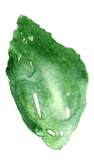 唯美森系手绘水彩花朵 免抠