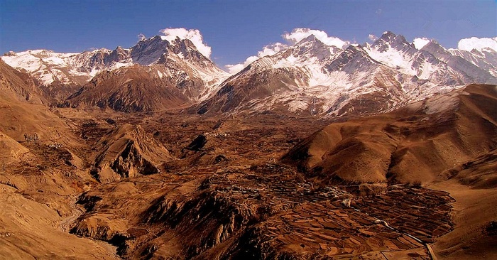 肥沃的火山土壤