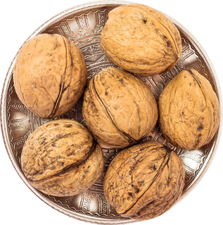 11_Walnuts