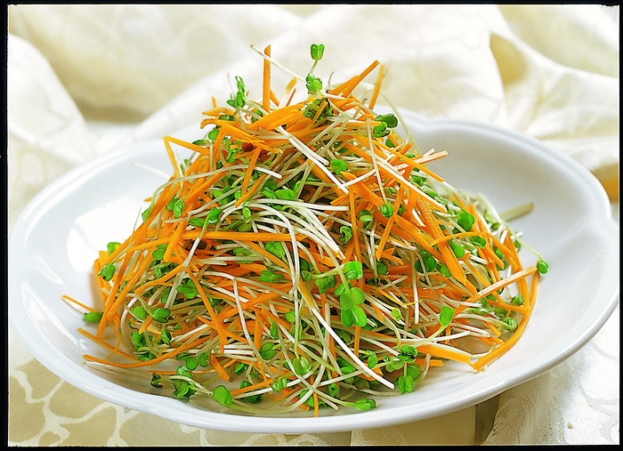 95LC-378红萝卜丝拌豆苗