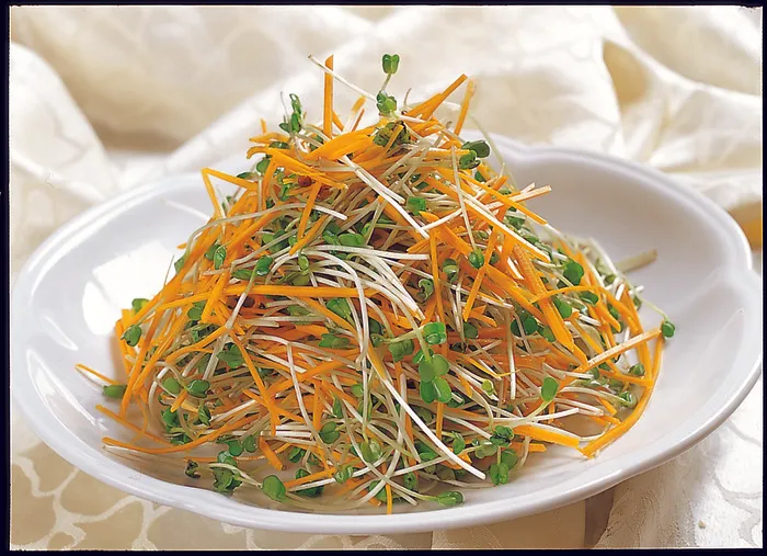 95LC-378红萝卜丝拌豆苗