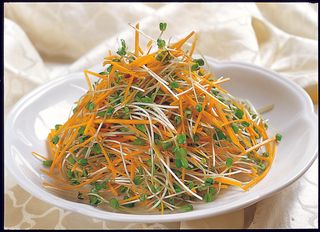 95LC-378红萝卜丝拌豆苗