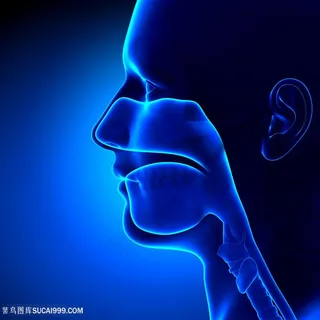 人物面部器官医疗主题高清图 人物面部器官医疗主题高清图