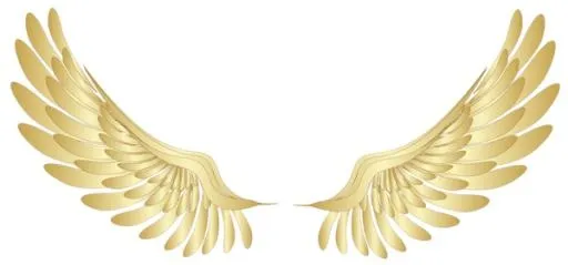 翅膀 PNG免抠(600x281)
