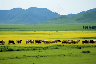 草原上的牛羊远山摄影图