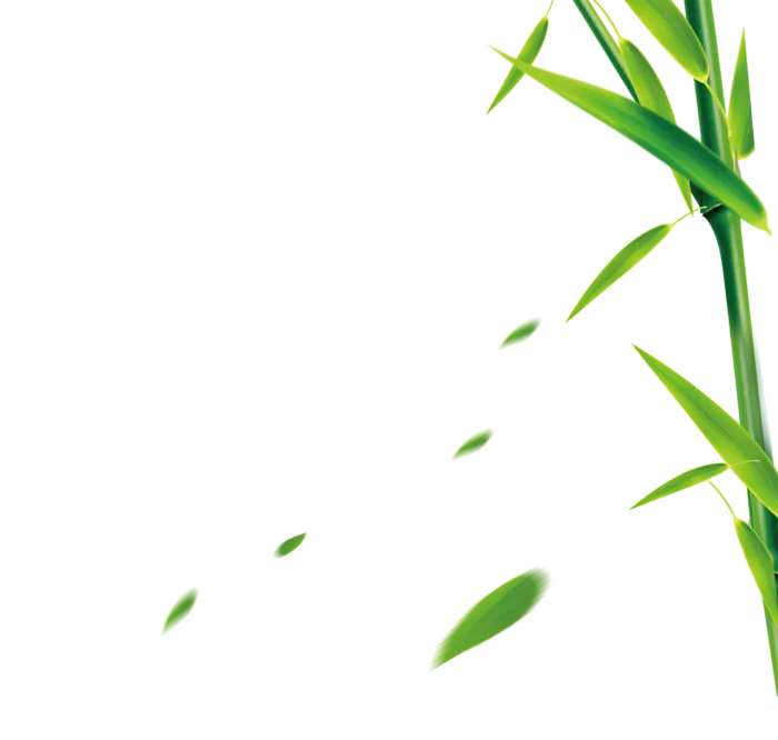 竹子水墨画中国风国画墨水书法竹子画