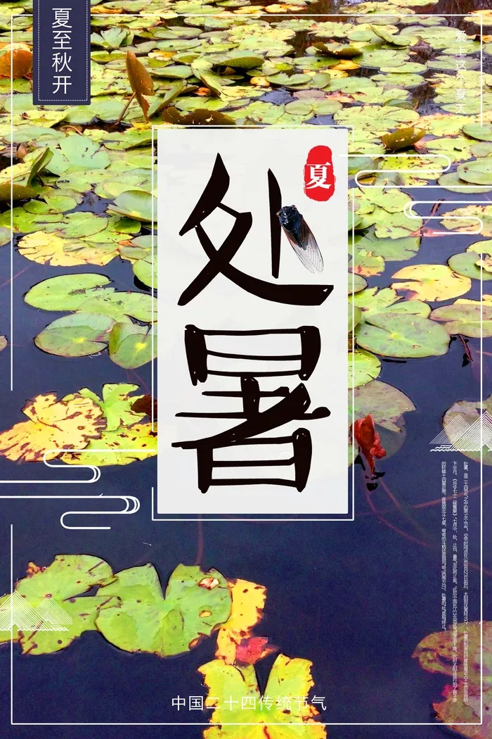 处暑荷叶蓝色海报创意设计psd模版下载