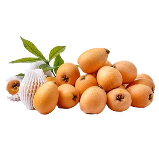 69枇杷 (2)水果超市商品白底图免抠实物摄影png格式图片透明底