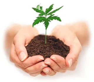 手中的泥土 PNG免抠