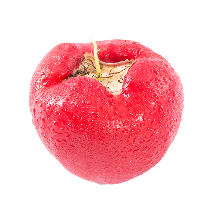 65莲雾 (2)水果超市商品白底图免抠实物摄影png格式图片透明底