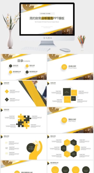 财务分析报告ppt预览图