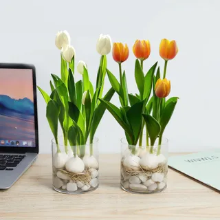 简约风桌面宠物鲜花摄影图