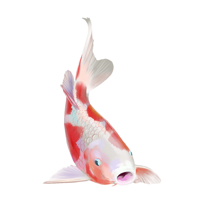 手绘烫金国潮中国风卡通锦鲤鱼金鱼插画装饰元素PSD设计素材