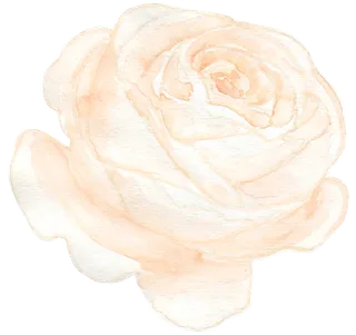 唯美森系手绘水彩花朵 免抠