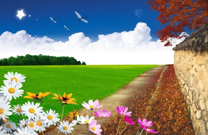 韩式自然背景 (55)