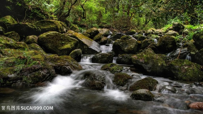 唯美溪流风景画壁纸