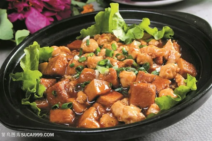 中华美食鸡米豆腐煲 高清图