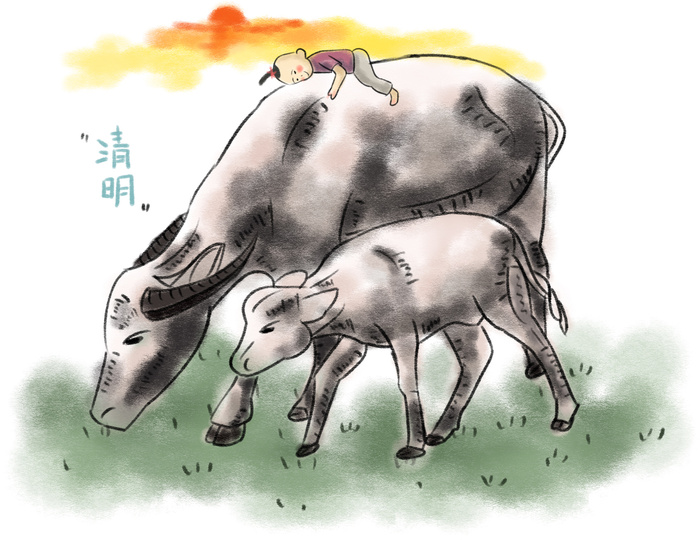 清明清明节卡通牧童和牛