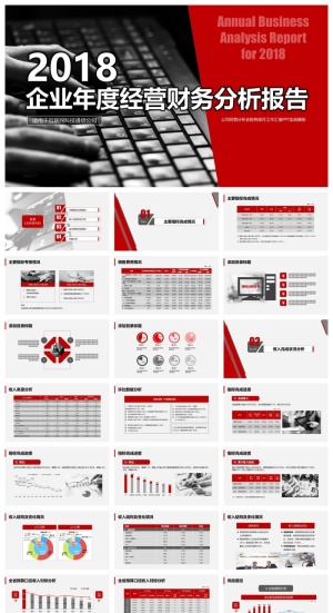红色企业年度经营财务分析报告